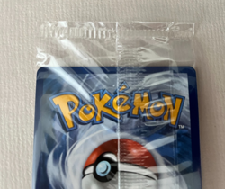 NEW SEALED Eevee VMAX SWSH087 Black Star Promo Full Art Holo Pokemon TCG 2021 - Image 5
