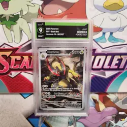 DEGREE 9 Haxorus 147/086 Illustration Rare - Black Bolt - Pokemon - SHIPS FAST - Image 1