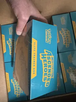 Pokemon - Ascended Heroes Elite Trainer Box Mega Evolution Dragonite - Image 2