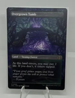 Overgrown Tomb (Non-foil) [Borderless] Lorwyn Eclipsed 0350 Rare MTG - Image 2
