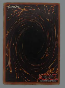 LIMITED Yugioh Amazoness Chain Master SP1-EN002 Promo LP (FAST FREE SHIP) - Image 2