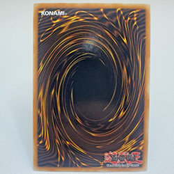 Yugioh Ghost Sister & Spooky Dogwood MAGO-EN013 1st Edition Gold Rare - NM💎 - Image 2