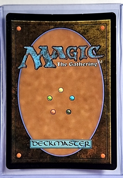 2022 MTG Magic the Gathering Secret Lair Extended Art Foil 647 Brood Sliver LP - Image 2