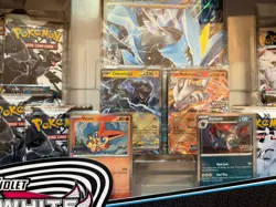Unova Heavy Hitters Premium Collection Box Set Black Bolt White Flare New Sealed - Image 3