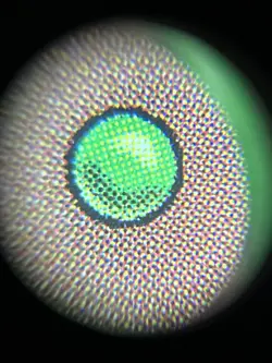 Null Rod Weatherlight Regular - Image 5