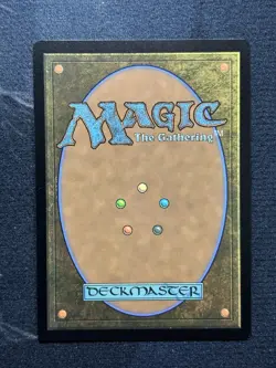 Splinter of The Shadows - Ashcoat of The Shadow Swarm (Borderless) NM - Image 2