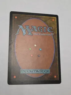 PIRACY Starter 1999 MtG Magic - Image 4