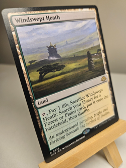 MTG Magic the Gathering - Windswept Heath - Modern Horizons 3 -MiNT - Pack Fresh - Image 1
