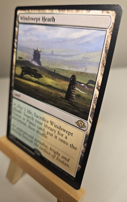 MTG Magic the Gathering - Windswept Heath - Modern Horizons 3 -MiNT - Pack Fresh - Image 2