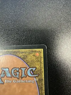 Magic the Gathering MTG Card Wasteland Tempest Regular Rare LP JL - Image 4