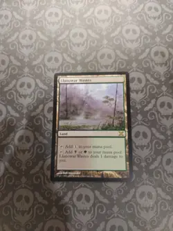 Llanowar Wastes 10th Edition Regular - Image 1