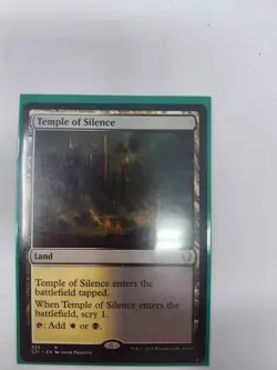 Temple of Silence *ACTUAL PHOTO* Lightly Played - Image 1