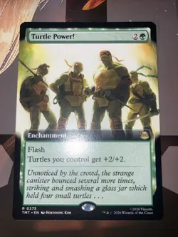 Turtle Power! (Extended Art) Teenage Mutant Ninja Turtles Regular - Image 1