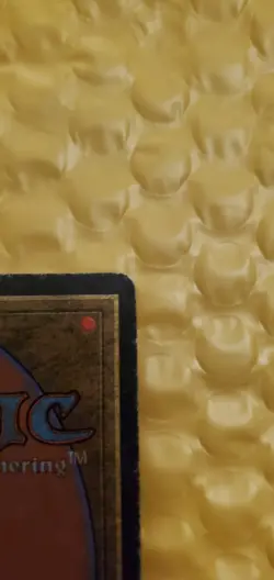 Taiga Revised Edition Regular - Image 5