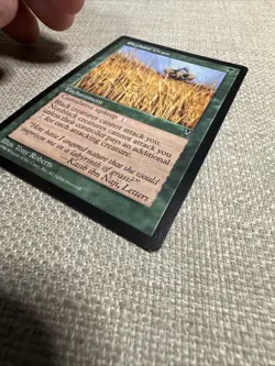 MTG Singles - Elephant Grass - Visions - Lp+ - Image 3