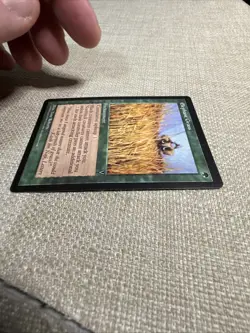 MTG Singles - Elephant Grass - Visions - Lp+ - Image 4