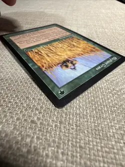 MTG Singles - Elephant Grass - Visions - Lp+ - Image 5