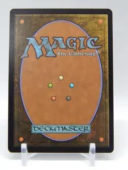 Magic the Gathering Lost Caverns of Ixalan 101 - Archaeomancer's Map Borderless - Image 2