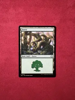 Forest X 3 - Lorwyn Eclipsed ECL Magic The Gathering MTG #273 (3 Land Pack) - Image 1