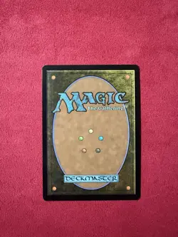 Forest X 3 - Lorwyn Eclipsed ECL Magic The Gathering MTG #273 (3 Land Pack) - Image 2