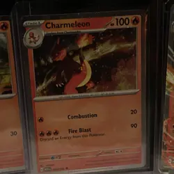 Charizard ex Super Premium Collection Pokemon TCG Promo Set 161 004 005 NM - Image 3