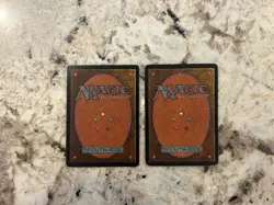 Mtg Warmth x2 - Magic the Gathering Warmth Tempest Hp - Image 2