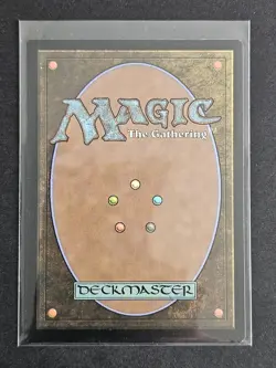 MTG Plains L (0845) (Surge Foil) Universes Beyond: Fallout - Image 2