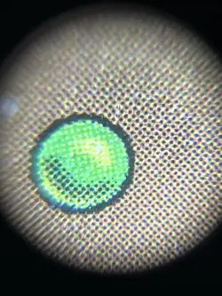 Ancient Tomb Zendikar Rising Expeditions Foil - Image 4