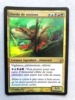 Mtg Carte Magic Lorwyn Horde of Notions FOIL French Fr LP/MP - Image 1