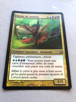 Mtg Carte Magic Lorwyn Horde of Notions FOIL French Fr LP/MP - Image 2