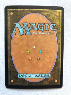 Mtg Carte Magic Lorwyn Horde of Notions FOIL French Fr LP/MP - Image 3