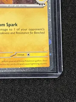 Pikachu (Pokemon Day 2026) 051/162 Miscellaneous Cards & Products Holo - Image 5