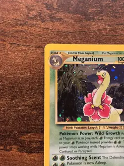 Pokemon Meganium Holo Rare Neo Genesis 11/111 Card 2000 “Energy Trans” Error - Image 5