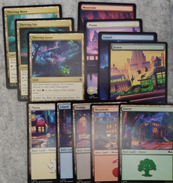 MTG TMNT Land Lot - Teenage Mutant Ninja Turtles - NM x12 - Image 1