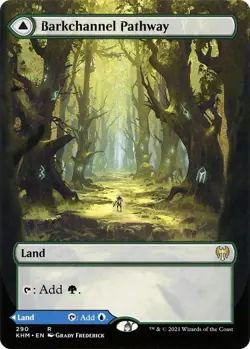 Barkchannel Pathway (Borderless) Kaldheim NM MTG Non-Foil - Image 1