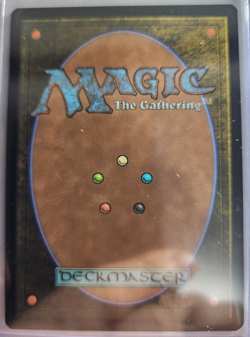 MTG - 2026 - Lorwyn Eclipsed - Chomping Changeling - Foil - Unplayed - Image 2