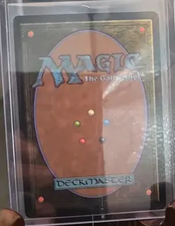 The Cabbage Merchant (Extended Art) Avatar: The Last Airbender MTG Regular NM - Image 2