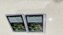 Magic the Gathering Tarkir Dragonstorm Canopy Gargantuan 2 Card Lot - Image 3