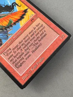 Bird Maiden (Dark) MTG Arabian Nights—Lightly Played Excellent—Vintage Magic - Image 4