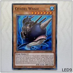 Citadel Whale - LED9-EN026 - Common 1st Edition Yugioh - Image 1