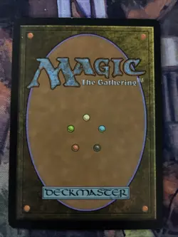 Soul Warden Core Set 2010 (M10) Regular - Image 2