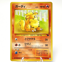 Growlithe & Arcanine VHS Intro Pack Squirtle Deck Japanese Pokemon Card 1999 LP - Image 2