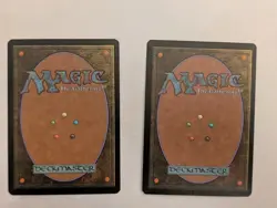 MTG Terra Eternal – LP | Worldwake | Magic the Gathering | Light Play - Image 2