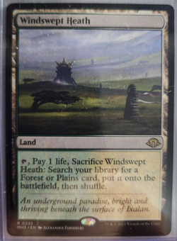 MTG - 2024 Modern Horizons 3 - Windswept Heath - Unplayed - Pack to sleeve - Image 1