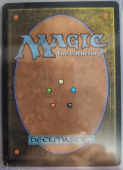 MTG - 2024 Modern Horizons 3 - Windswept Heath - Unplayed - Pack to sleeve - Image 2