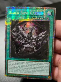 Yu-Gi-Oh! Black Rose Garden 1st ED. Starlight Rare! #DOOD-EN055 - NM/M - Image 1