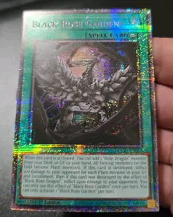 Yu-Gi-Oh! Black Rose Garden 1st ED. Starlight Rare! #DOOD-EN055 - NM/M - Image 2