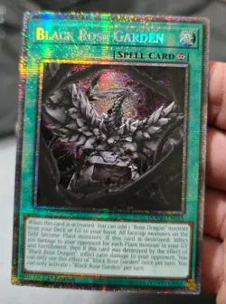 Yu-Gi-Oh! Black Rose Garden 1st ED. Starlight Rare! #DOOD-EN055 - NM/M - Image 3