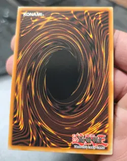 Yu-Gi-Oh! Black Rose Garden 1st ED. Starlight Rare! #DOOD-EN055 - NM/M - Image 4