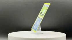 Pokemon TCG Dark Wartortle 46/82 Team Rocket Regular Uncommon MP Condition - Image 2